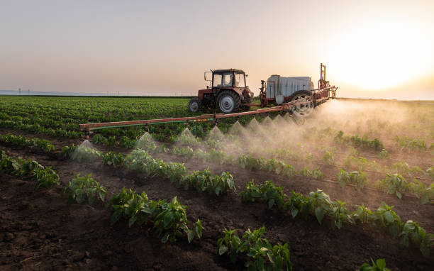Best Mosquito Control Services  in North Eastham, MA